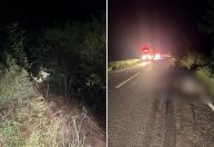 Carro cai de ribanceira após atropelar animal em MG