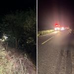 Carro cai de ribanceira após atropelar animal em MG