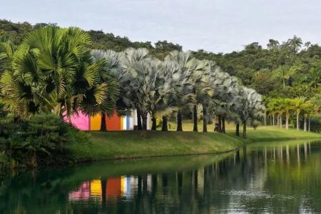 Inhotim começa comemoração de 20 anos com exposições inéditas neste sábado (25); confira
