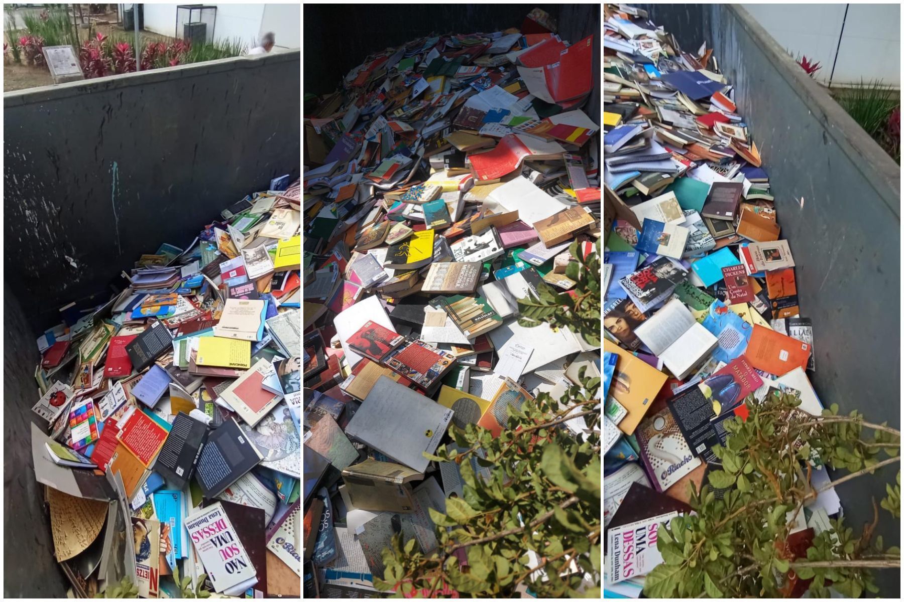Descarte de 40 mil livros em Osasco vira alvo de investigação no MP; vídeo