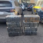 PRF apreende carregamento com mais de 230 kg de maconha na Zona da Mata
