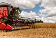 BNDES aprova R$ 160,8 bi para agro e amplia crédito no país
