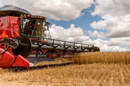 agricultura