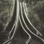 De Tiradentes para a capital: exposição "Mundo ≡ Floresta" ocupa a CâmeraSete