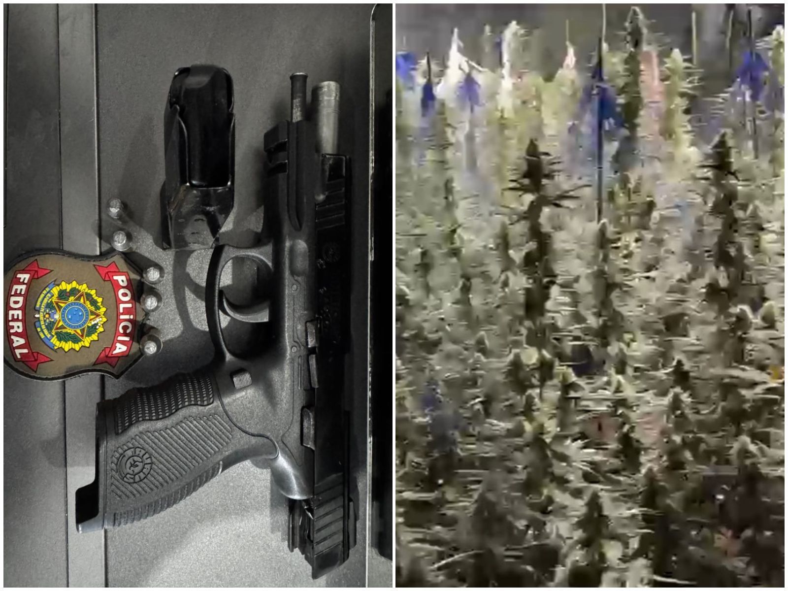 PF prende suspeito de enviar cocaína para a Europa pelo Aeroporto de Guarulhos