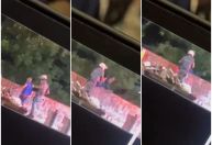 Policial militar que jogou homem de ponte em SP vai a júri popular