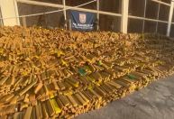 PM apreende quase 50 toneladas de maconha em bunker durante operação histórica no RJ