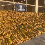 PM apreende quase 50 toneladas de maconha em bunker durante operação histórica no RJ