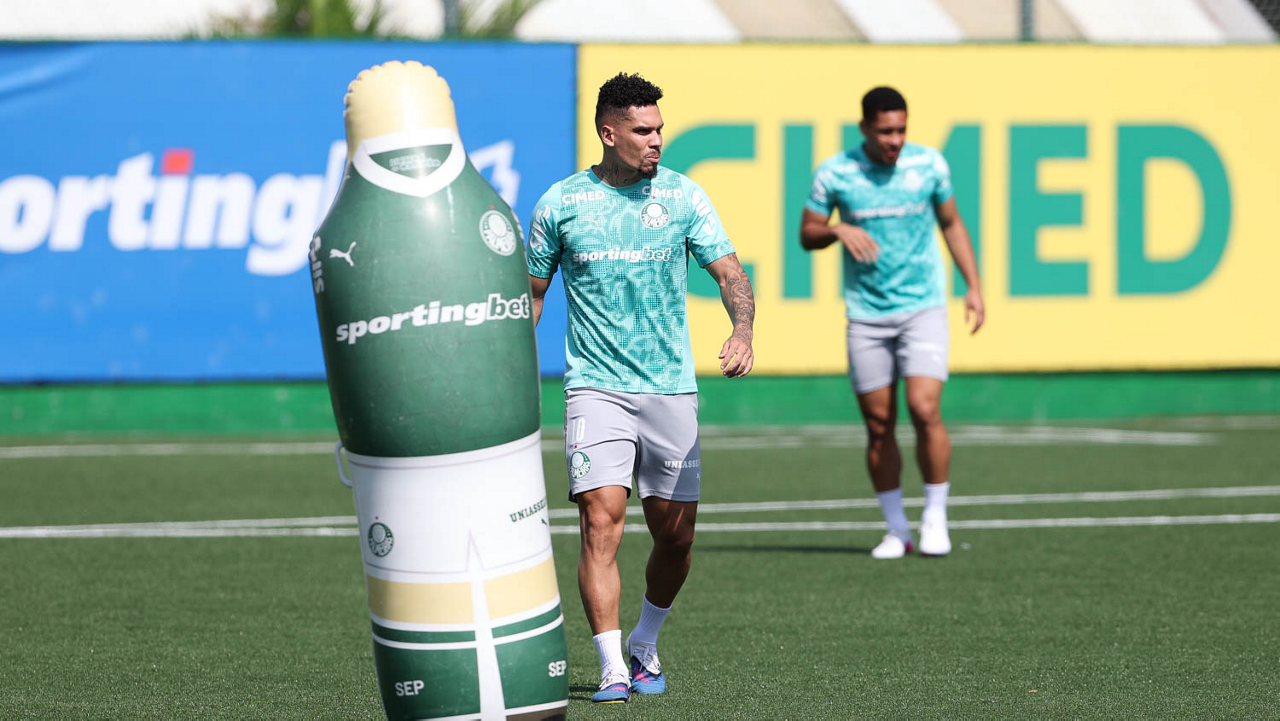 Paulinho volta contra Jacuipense? Médico do Palmeiras abre o jogo