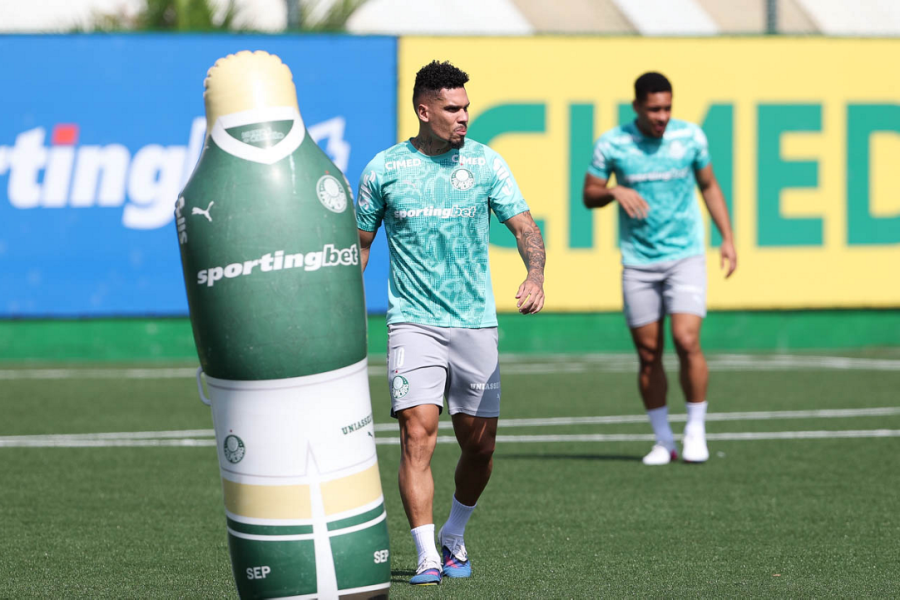 Paulinho volta contra Jacuipense? Médico do Palmeiras abre o jogo