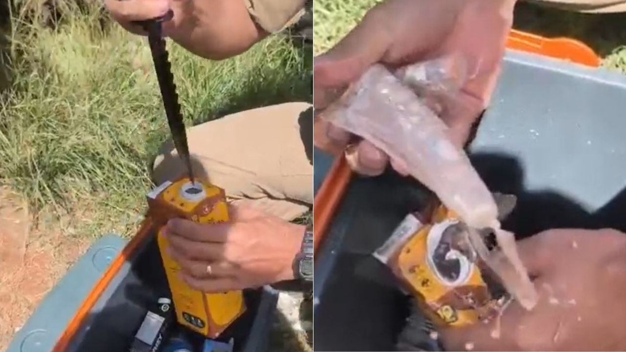 Trio é preso com R$ 150 mil em canetas de Mounjaro escondidas em achocolatado em BH; vídeo