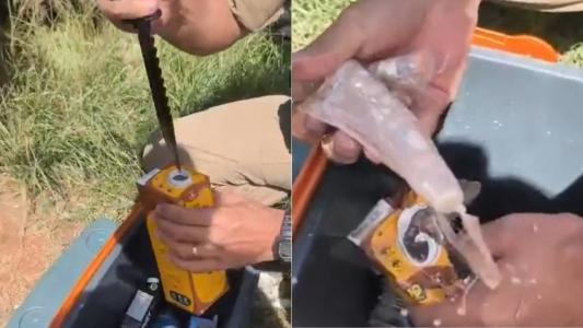 Trio é preso com R$ 150 mil em canetas de Mounjaro escondidas em achocolatado em BH; vídeo