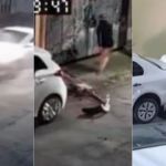 Vídeo flagra momento em que mulher é perseguida e atropelada pelo ex-namorado em SP