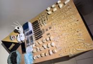 Suspeitos são presos por tráfico de drogas durante operação policial em Belo Oriente