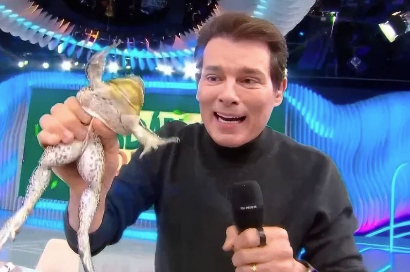 Entenda a investigação do MP contra Celso Portiolli e o SBT