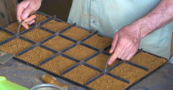 Plano da Terra Brasil é criar joint venture para produzir terras-raras e fertilizantes