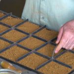 Reservas de terras raras no Alto Paranaíba atraem investidores estrangeiros