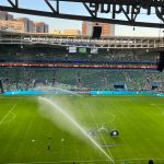 Palmeiras x Athletico-PR: veja as escalações do jogo pelo Brasileirão