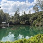 Inhotim inicia celebrações de 20 anos neste sábado (25) com exposições inéditas