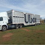 Inflação dos alimentos sobe com altas dos fretes, leite e derivados
