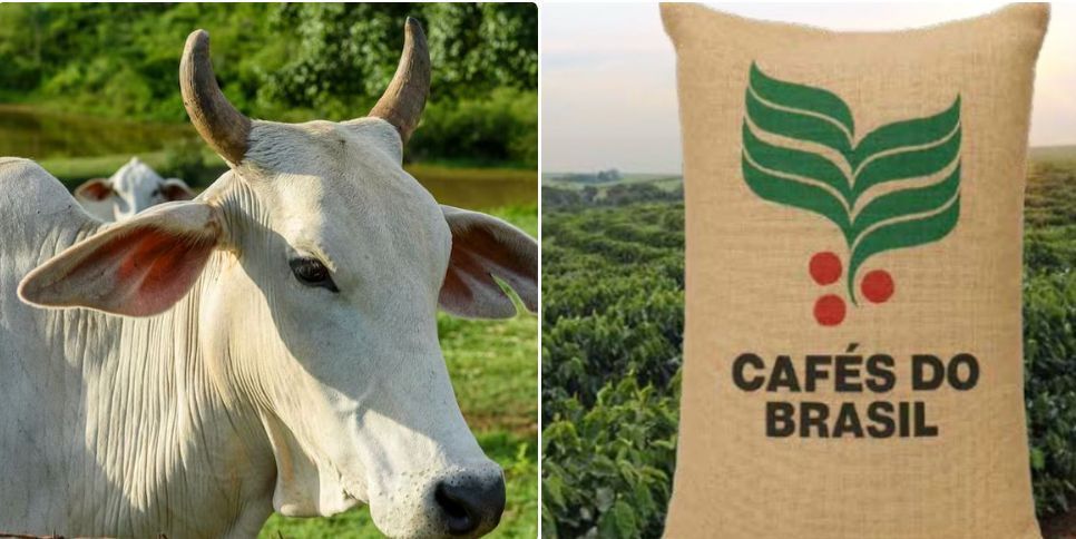 Café e carne bovina sem queda de preços para o consumidor