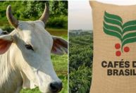 Café e carne bovina sem queda de preços para o consumidor