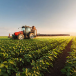 Agro brasileiro avança na conquista de mercados externos