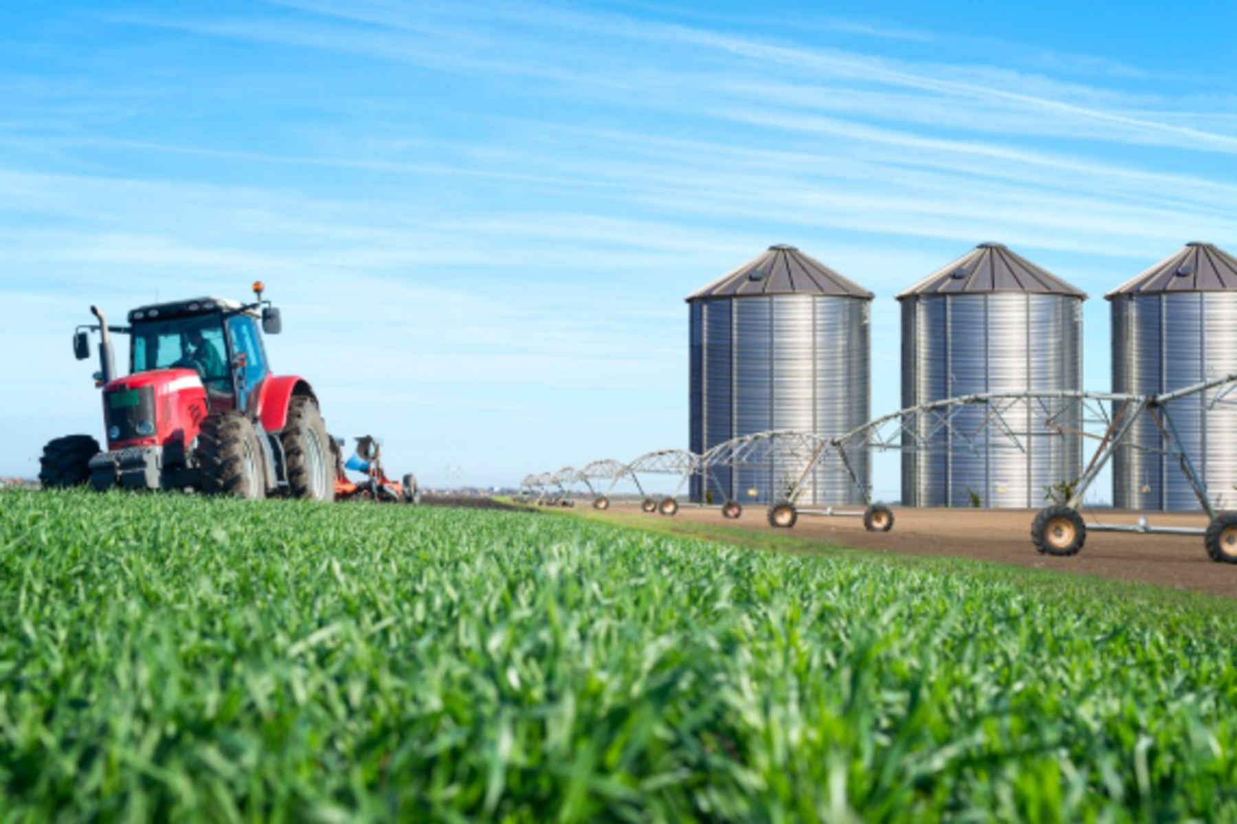 Exportações sustentam alta da agroindústria no início de 2026