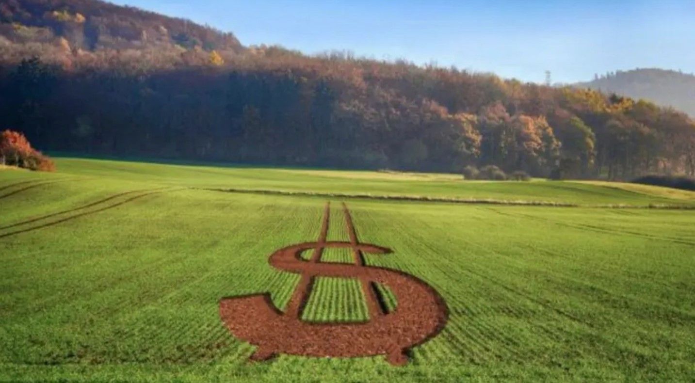 Sobra dinheiro do governo para o agro, mas produtores correm dos juros bancários
