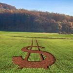 Sobra dinheiro do governo para o agro, mas produtores correm dos juros bancários