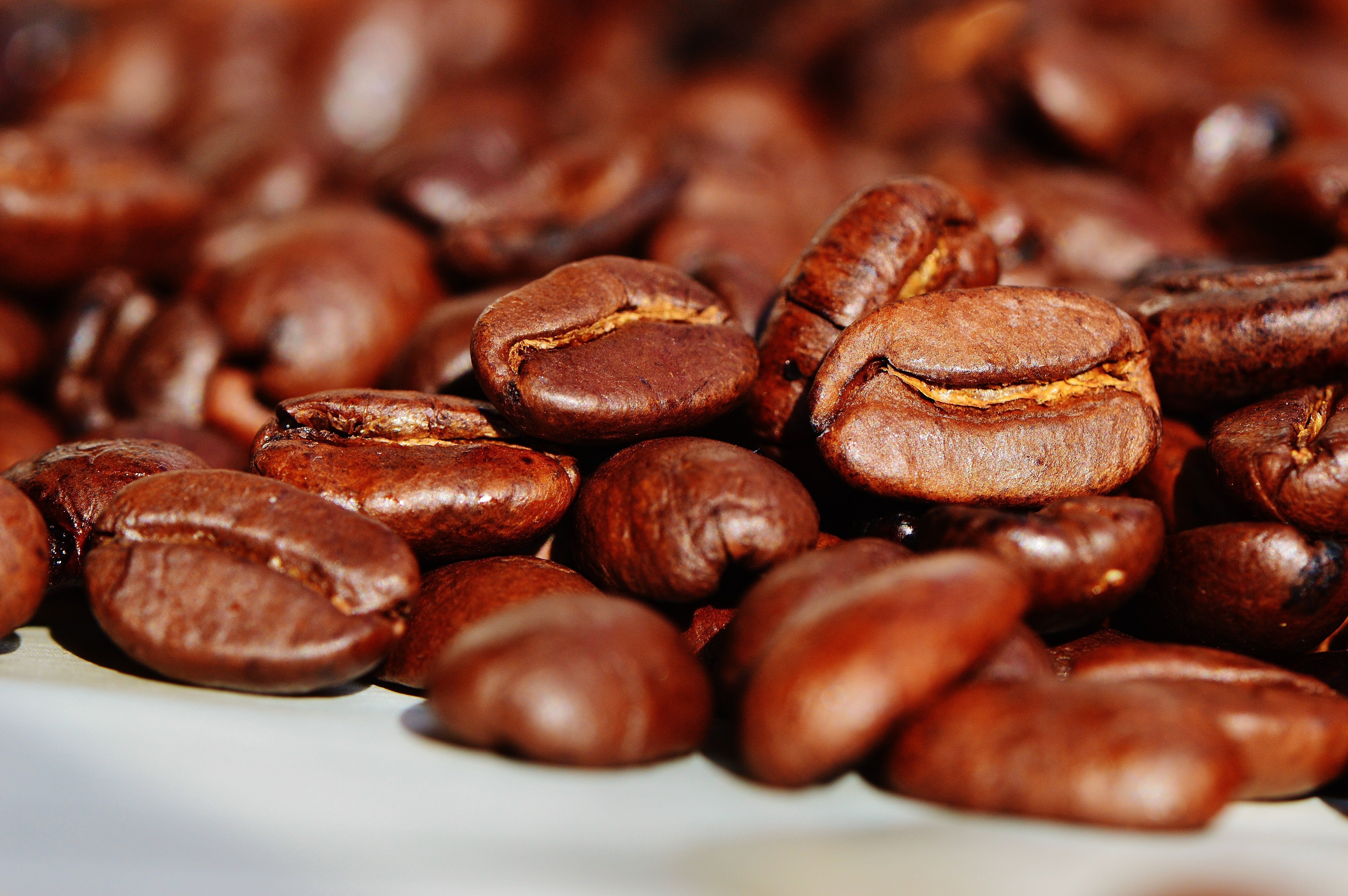 Carmo do Rio Claro sedia Dia de Campo sobre café arábica