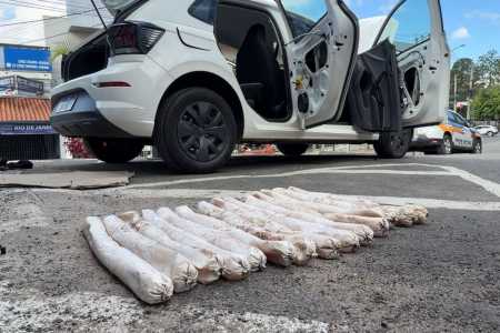 Material explosivo também foi apreendido com dupla presa em Juiz de Fora • PMMG/Divulgação