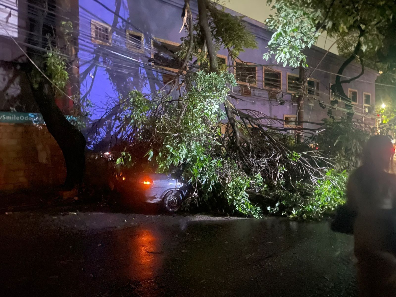Chuva forte derruba árvore em cima de carro e provoca incêndio: 'Foi Deus que salvou a gente'