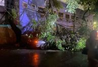 Chuva forte derruba árvore em cima de carro e provoca incêndio: 'Foi Deus que salvou a gente'