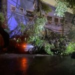 Chuva forte derruba árvore em cima de carro e provoca incêndio: 'Foi Deus que salvou a gente'