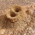 Maneiras efetivas de eliminar os formigueiros do jardim