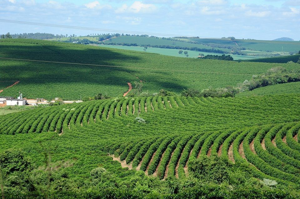 Arrecadação do ICMS Agropecuário cresce em Minas Gerais