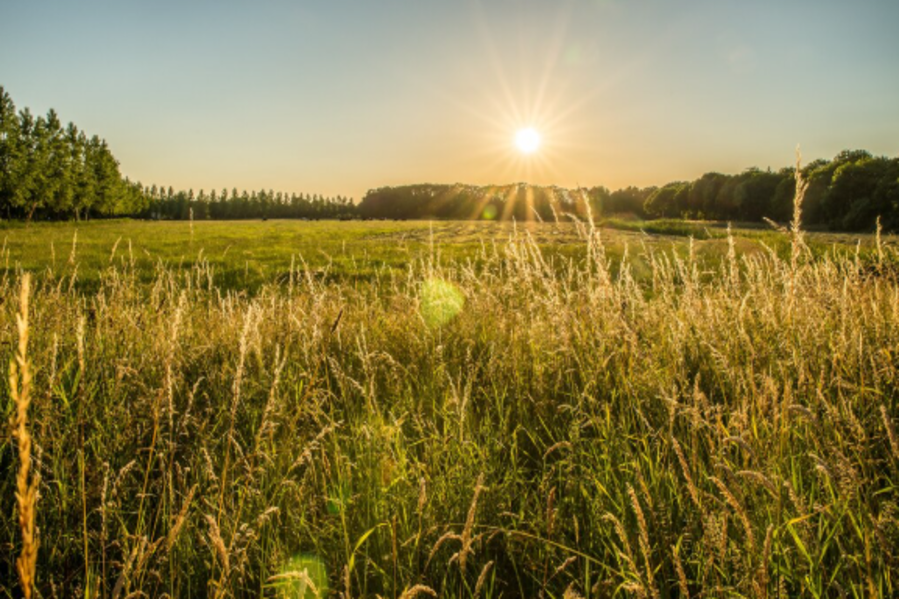 Mudanças climáticas elevam riscos e exigem adaptação no campo
