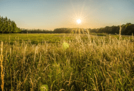 Mudanças climáticas elevam riscos e exigem adaptação no campo