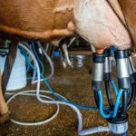 Governo brasileiro anuncia pacote para leite e reforma agrária