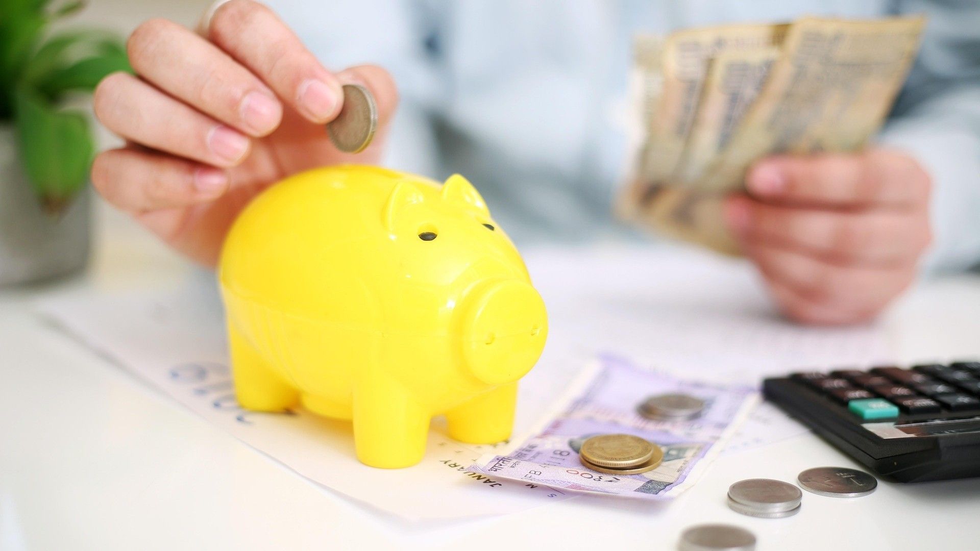 Educação financeira se torna aliada para decisões mais conscientes
