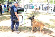 Após virar símbolo, cão Orelha dá nome a novo espaço pet; veja onde fica