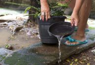 Ubá e Juiz de Fora registram maior número de casos de dengue na Zona da Mata