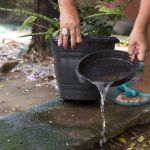 Ubá e Juiz de Fora registram maior número de casos de dengue na Zona da Mata