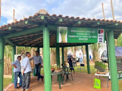 Programa Cana é lançado durante a Agrishow 2026 • Giullia Gurgel | Itatiaia