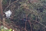 Motorista morre após colisão com risco de explosão na BR-135, no Norte de Minas