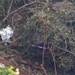 Motorista morre após colisão com risco de explosão na BR-135, no Norte de Minas