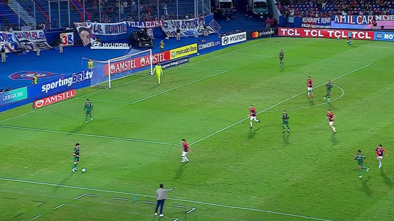 Palmeiras descobre irregularidade no gramado da Copa Libertadores
