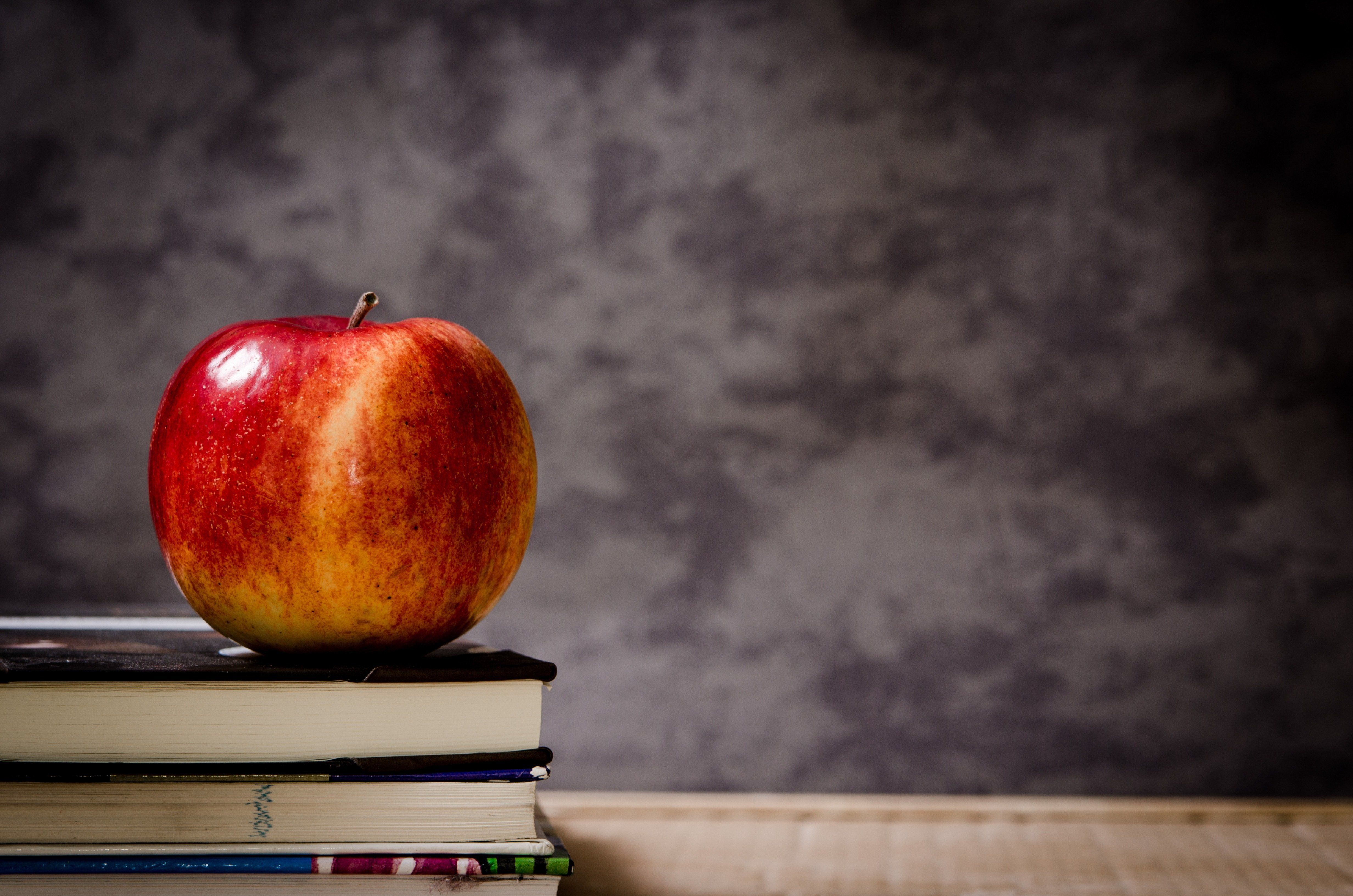 Profissionais da educação infantil em Varginha aprovam paralisação