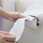 Como transformar rolos de papel higiênico em abrigos para abelhas solitárias